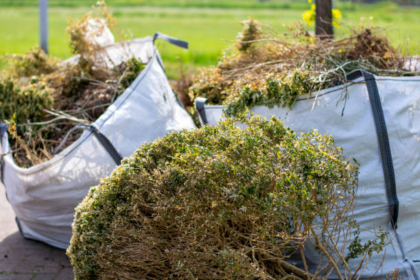 Yard Cleanup Services in North Webster, IN